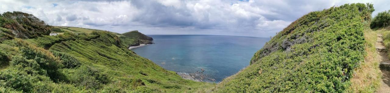 The Old Rectory Rose Cottage In Jacobstow 10 Mins To Widemouth Bay And Crackington Haven,Nearby Bude,Tintagel,Port Issac,Clovelly,Parking For Large And Multiple Vehicles Ngoại thất bức ảnh